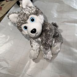 TY SLEDDER the 6" HUSKY BEANIE BABY (SMALL EYES) - NO HANG TAG 2007 Rare 2.0 Collection 