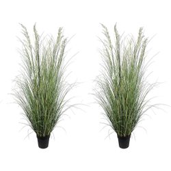 Artificial Plants 6ft 2 Pack 936B