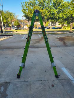 Little Giant Dark Horse Multi-Position Ladder