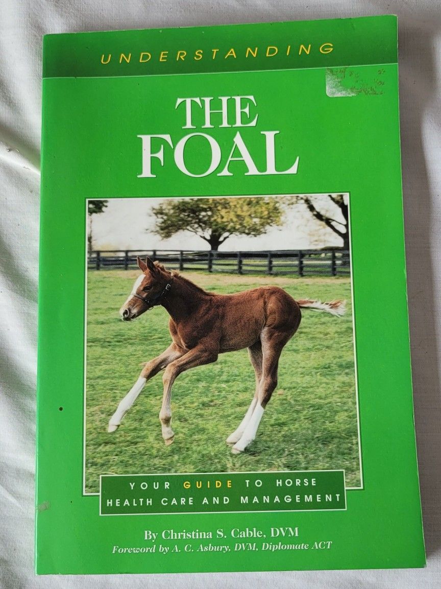 Farm - The Foal