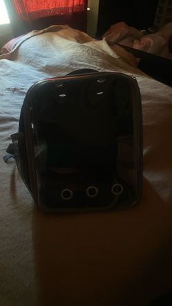 Cat Backpack For Sale