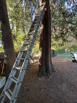 Aluminum extension ladder 32’