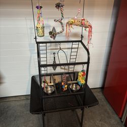 BIRD ACTIVITY CENTER