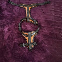 Dog Harness