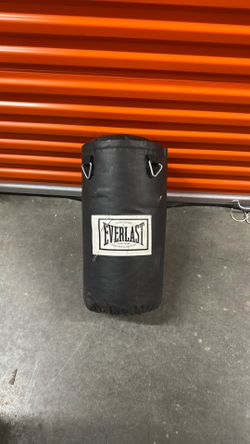 Everlast punching bag