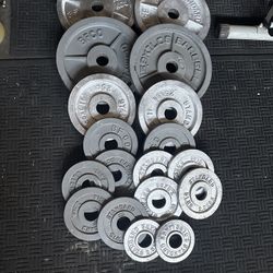 255lbs Of Olympic Weights 