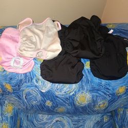 Dog Washable Underwear 