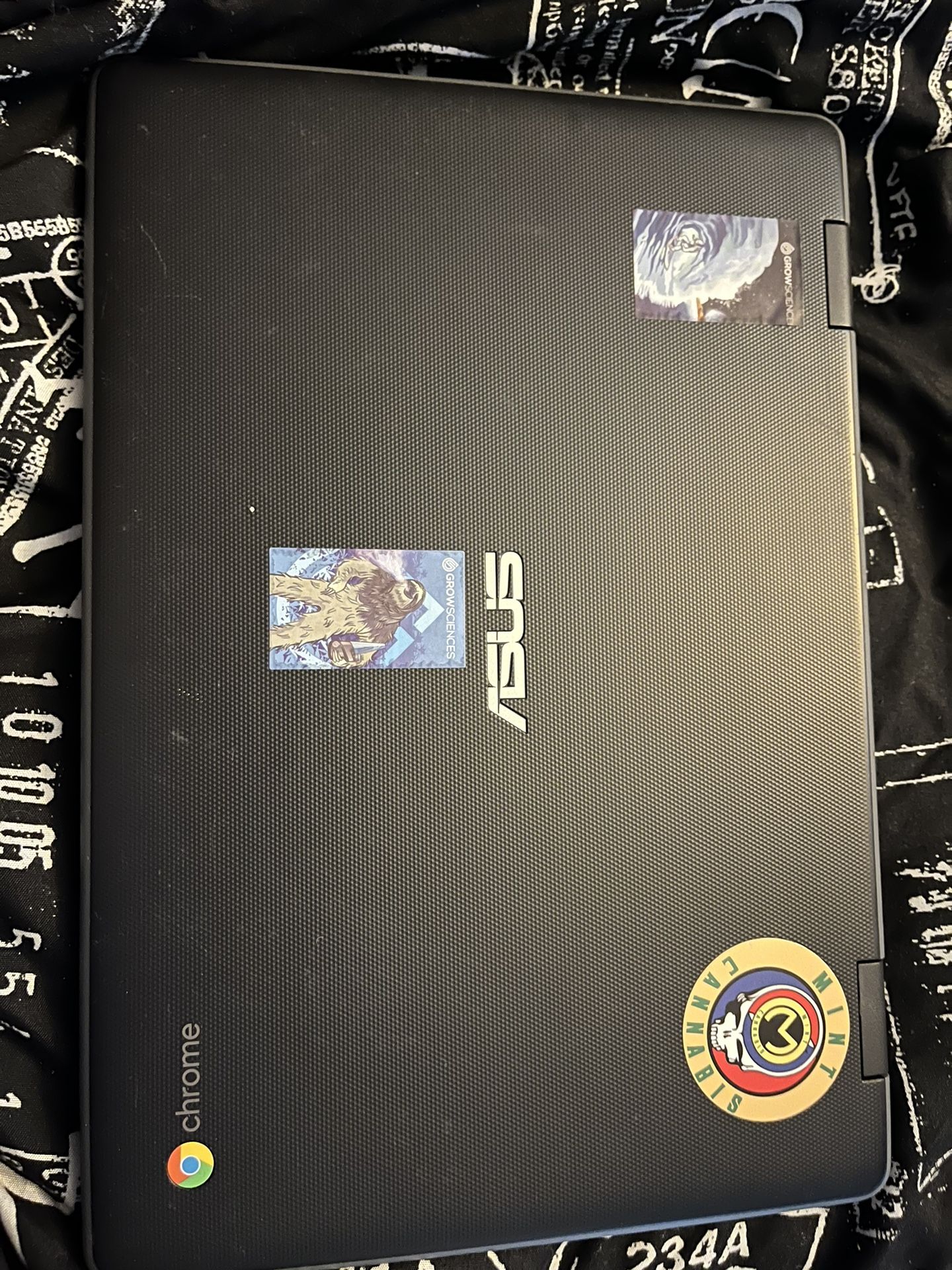 Google Chrome Acer Laptop