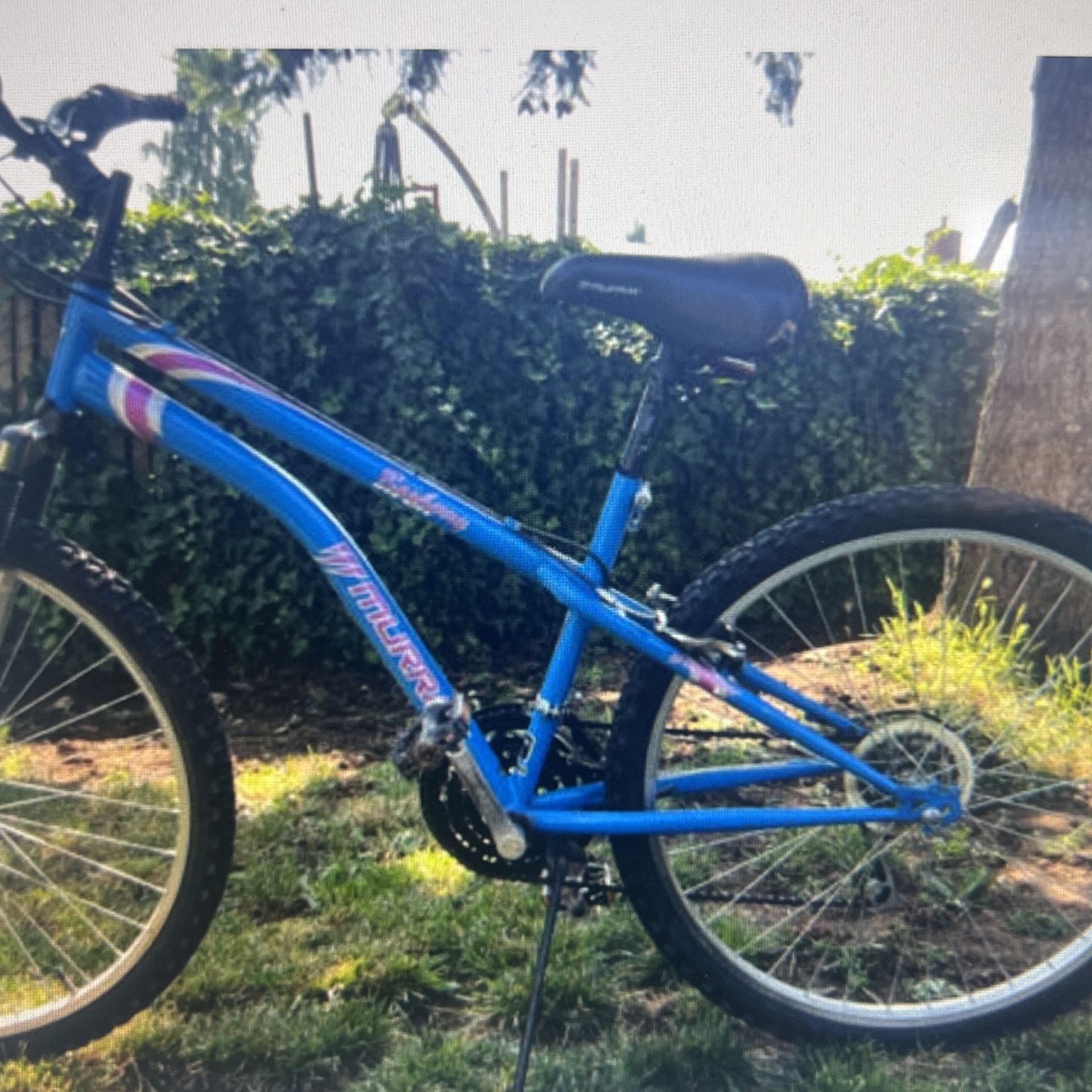 Murray Bayberry 21 Speed Mountain Bike for Sale in Portland OR OfferUp