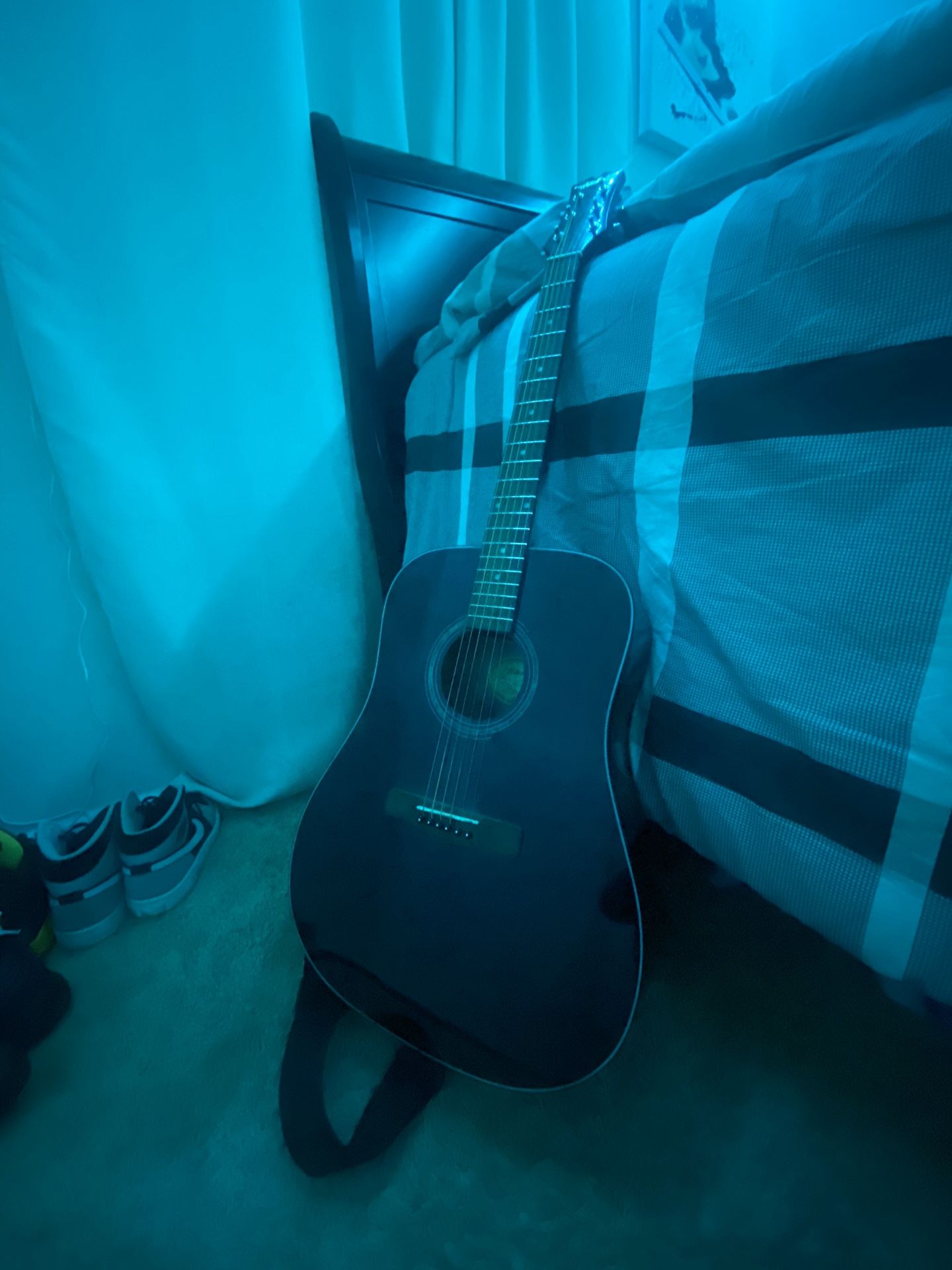 Mitchell Guitar