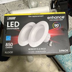 6” Feit LED Dimmable Lights