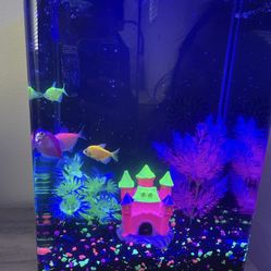 GloFish Aquarium Kit (fist Tank) 