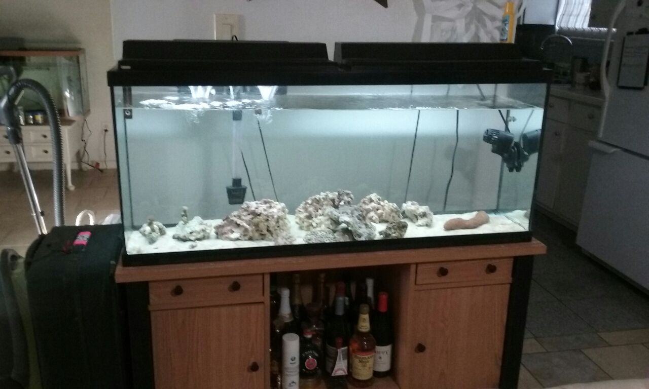 Acuario - pecera 75 galones