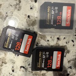 SanDisk V90 & Two V30 SanDisk Cards