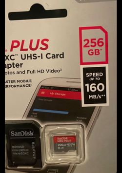 Micro SD card 256 GB