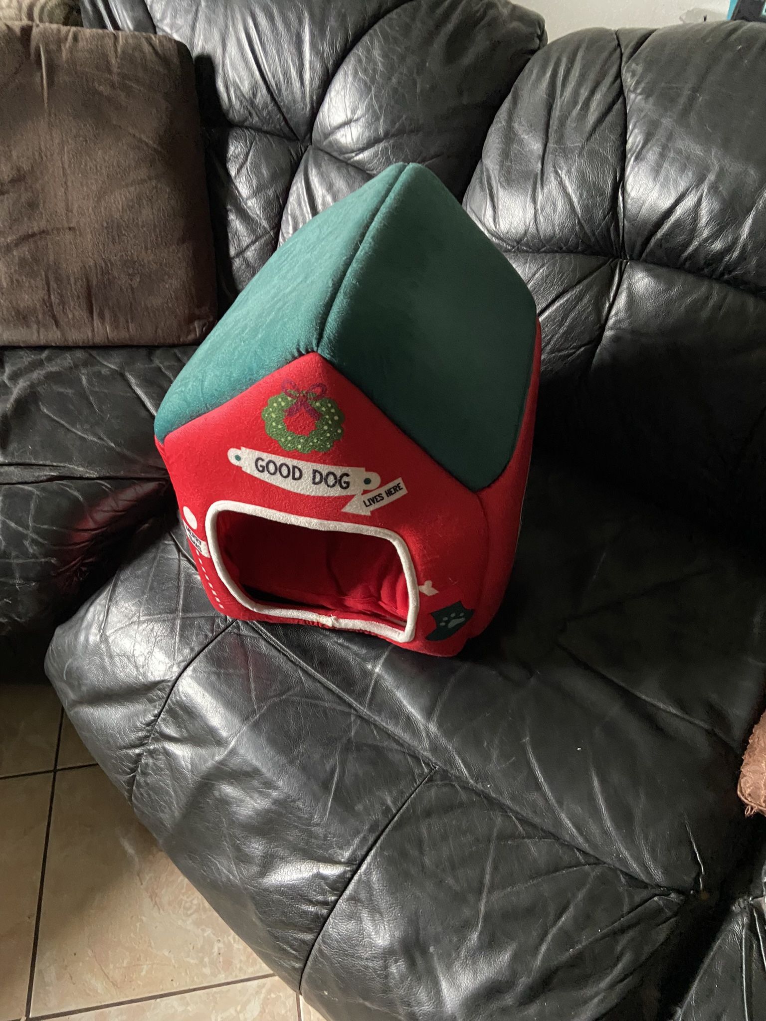 Small Dog House