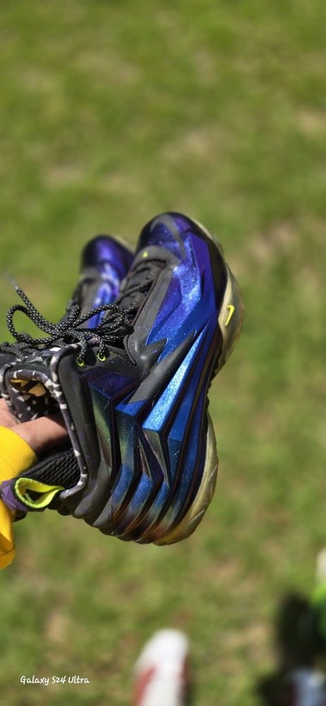 Rare Nike Chuck Posite
Cave Purple
