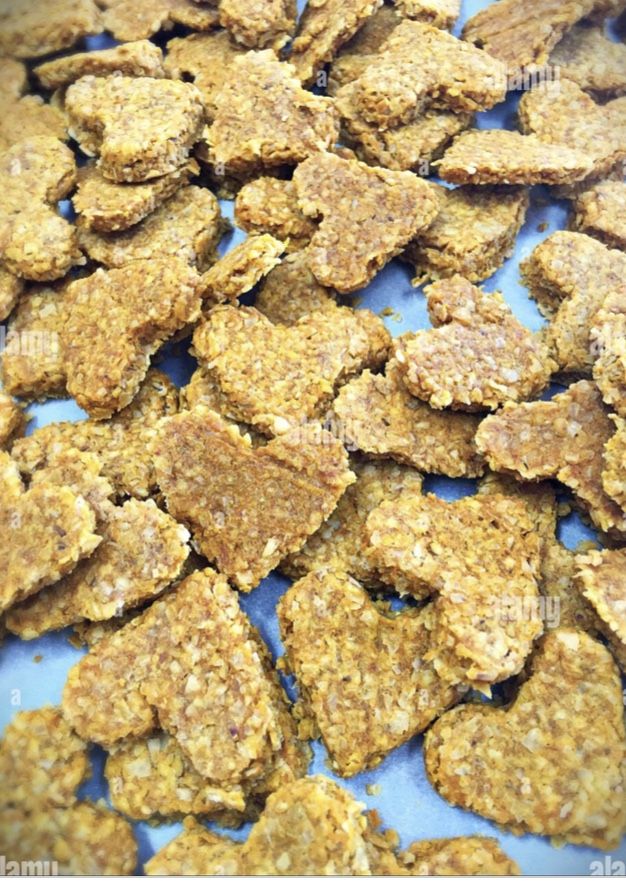 Healthy Homemade Dog Treats