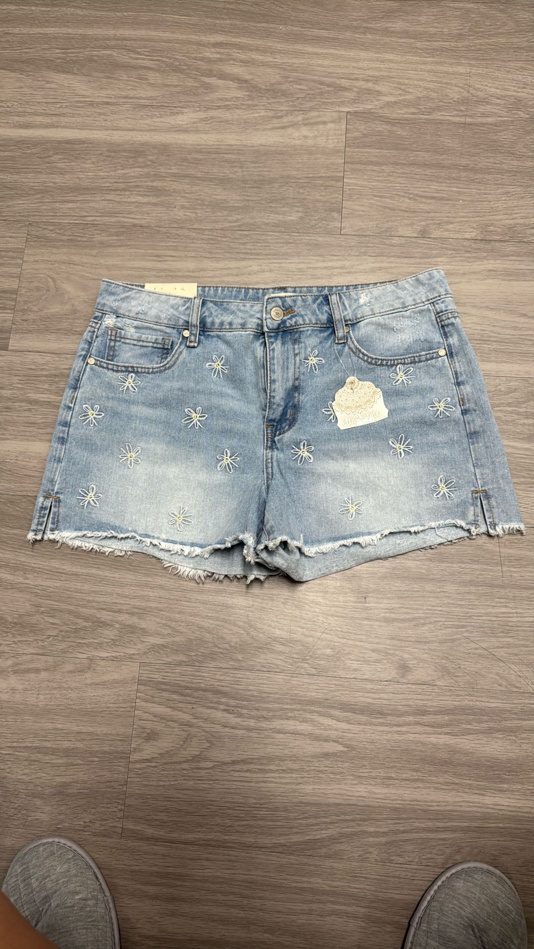 Altard State Denim Shorts