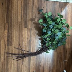 Fake Eucalyptus