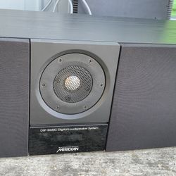 Vintage Meridian Speaker System