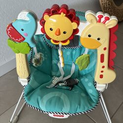 Cute Fisher-Price Baby Bouncer