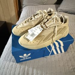 Brand New Adidas Shoes 