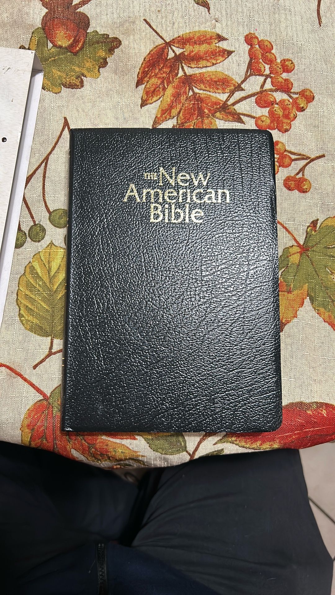New American Bible 