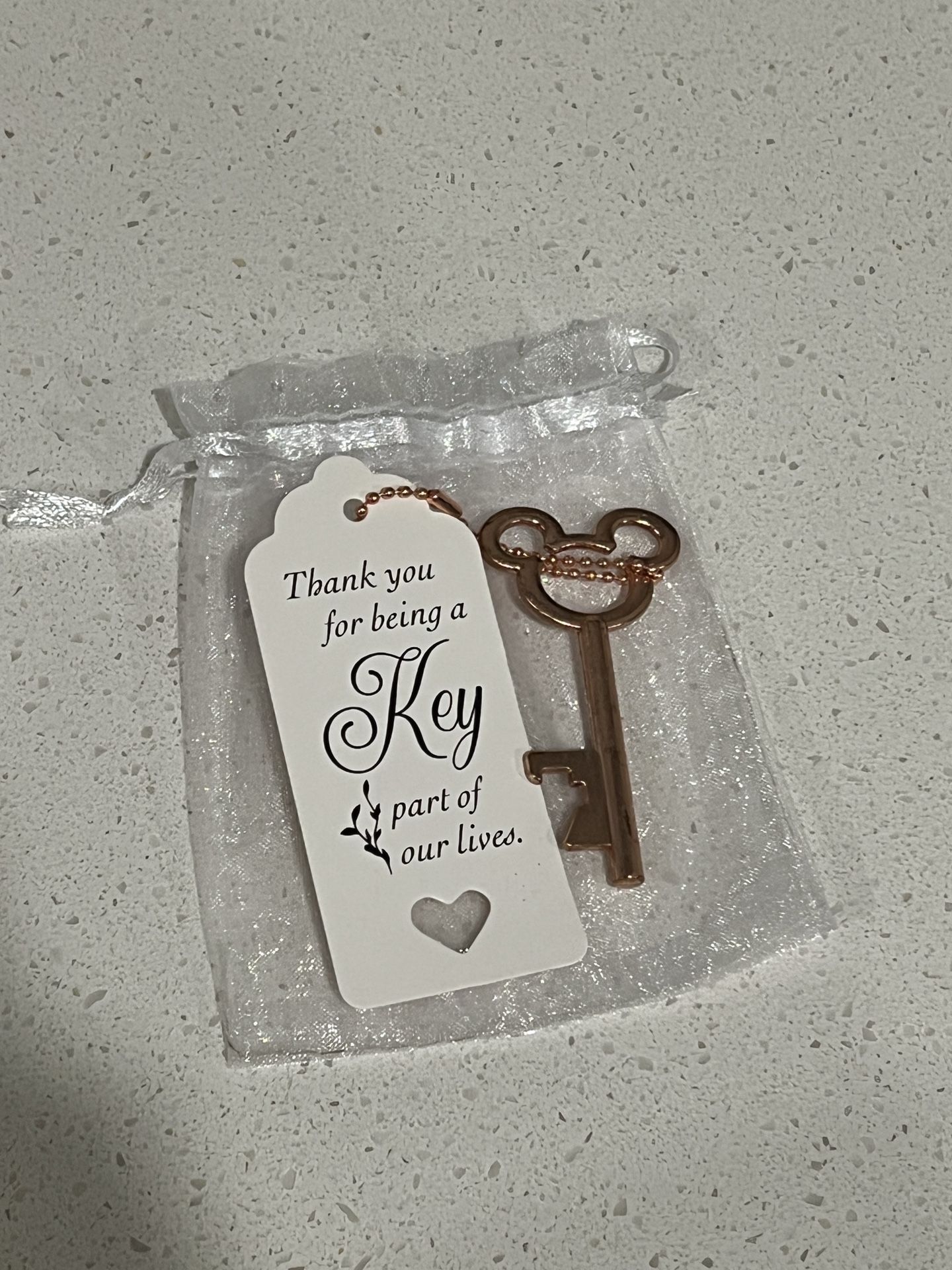 Disney Inspired Wedding /Party Favors