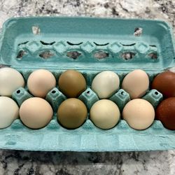 FARM FRESH EGGS