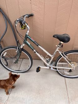 Trek female bike. Very large