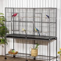Xl Birdcage And Accessories Complete Setup 