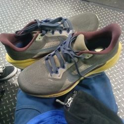 Nike Pegasus Zoom Size 11