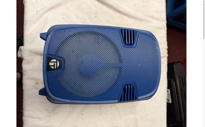 Portable Bluetooth Party Speaker – 8" w/ Mic Input, Echo & LED Lights