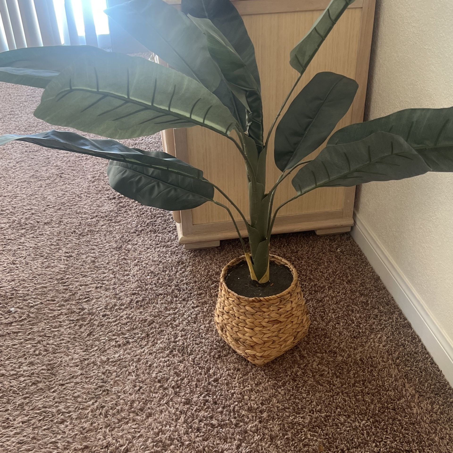 Fake Plant