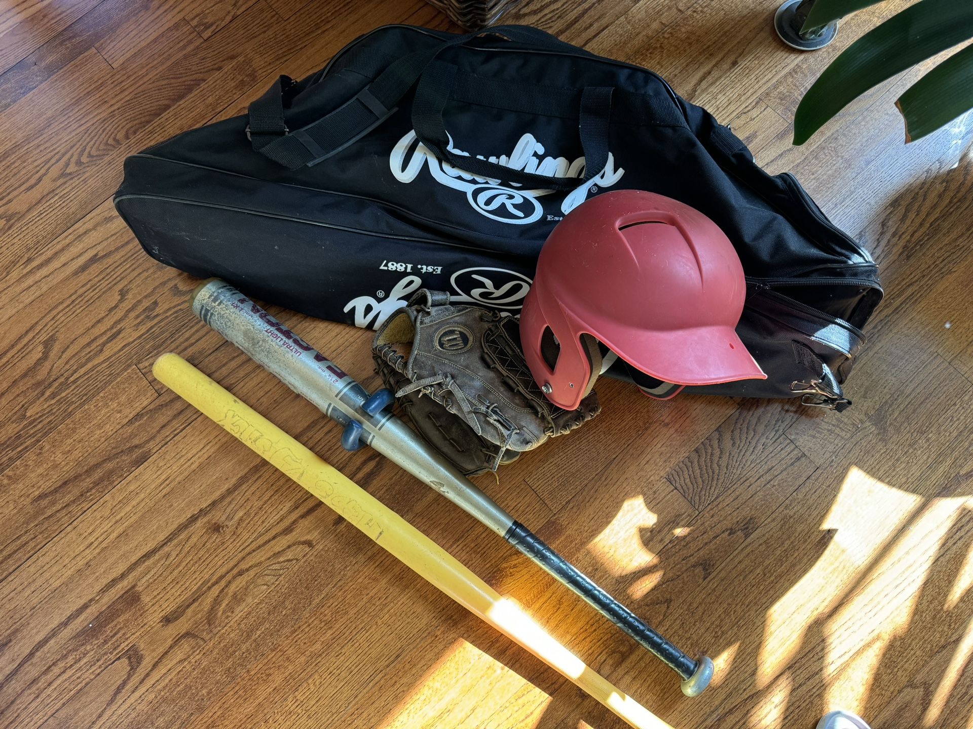 Little league, T-ball, Youth Baseball Stuff