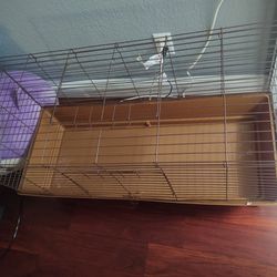 Used Guinea Pig Cage