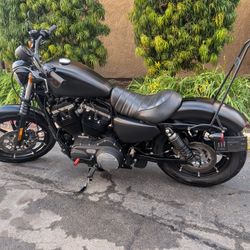 2020 Harley Davidson Iron 883