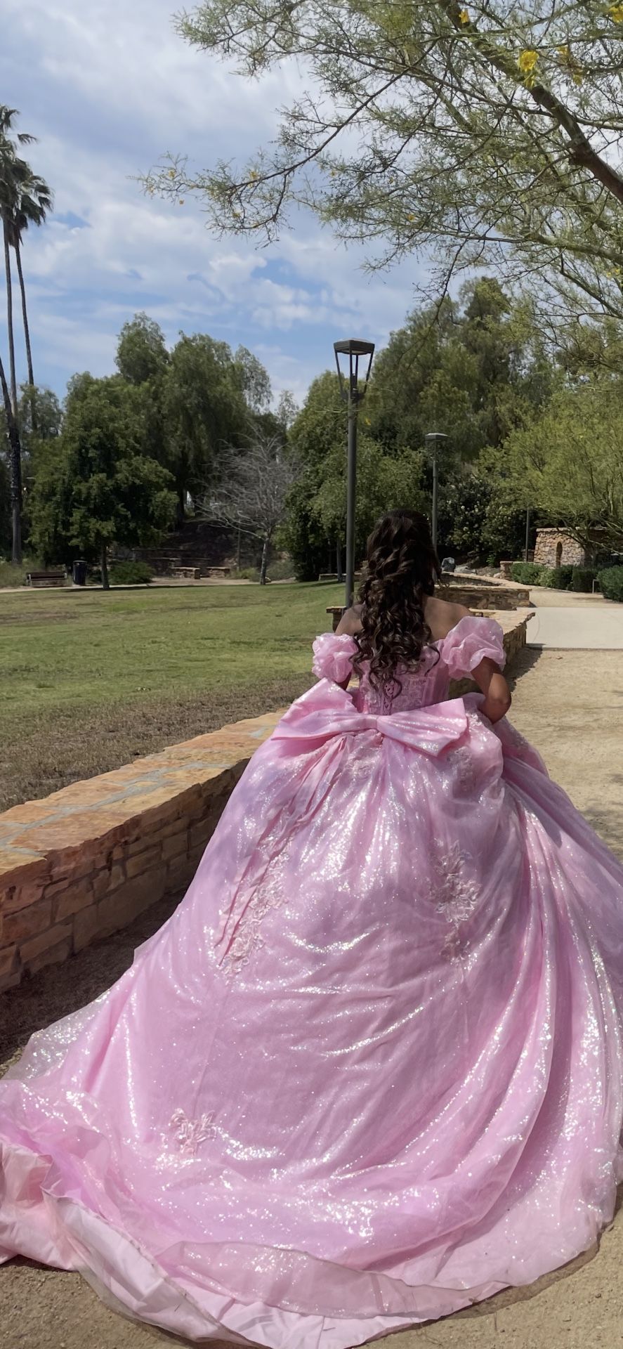 Quinceañera Dress