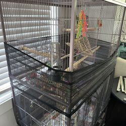 Large Bird Cage 