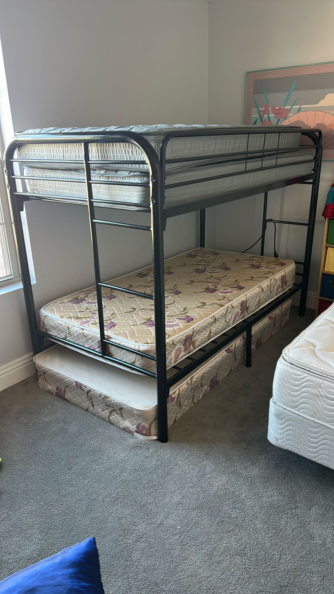 Bunk Beds 