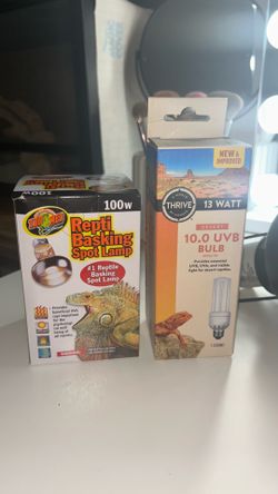Reptile lights
