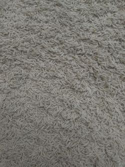 Area rug
