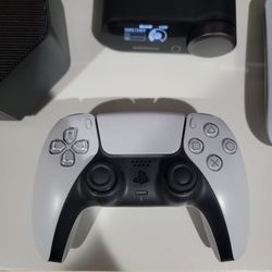 Ps5 Controller ADULT OWNED