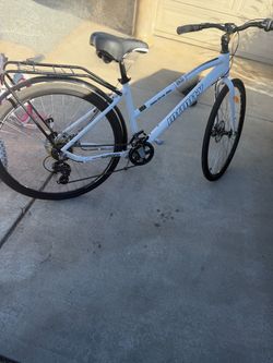 Infinity Boss Three Disc Hybrid Bike Unisex