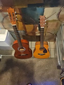 Acoustic Guitars 