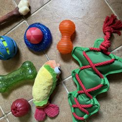 Dog Toys