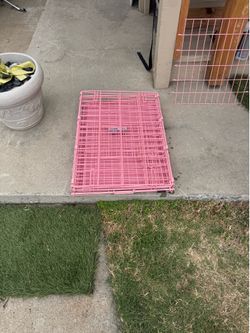 I crate for your pet