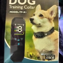 Dog Training Collar 