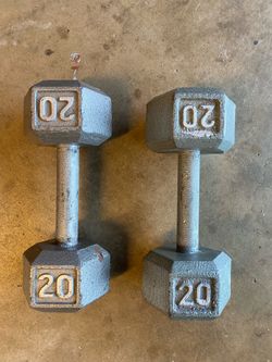20lb Dumbells
